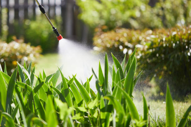 24/7 Emergency Mosquito Control experts in Arlington, NE