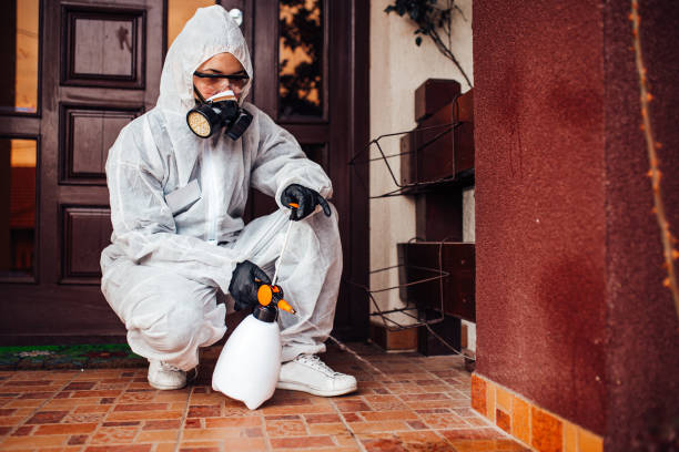 Reliable Mosquito Control contractor in Arlington, NE by Show Me Pest Control